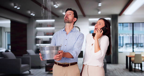 Best Water damage cleanup near me  in Pleak, TX