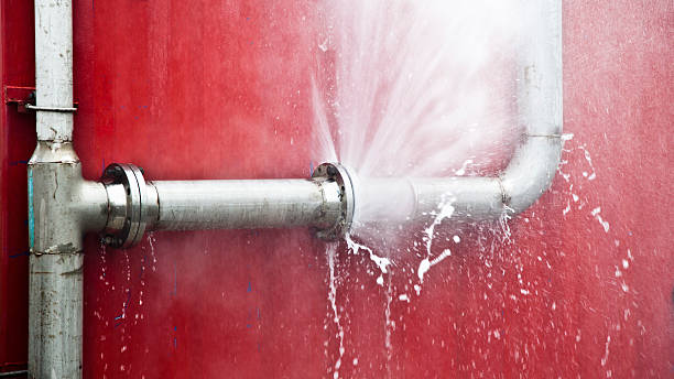 Best Local water damage restoration  in Pleak, TX